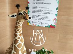 -YoKID优儿学堂早教托育园(青塔路店)