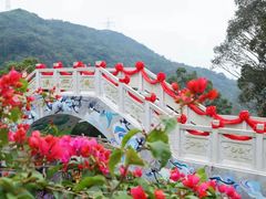-东莞观音山旅游风景区