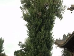 -张掖大佛寺景区