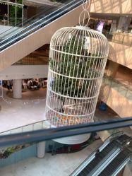 -DR REBORN医疗美容