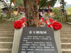 -超山青莲寺