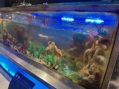 -V-ONE西雅图海鲜自助餐厅(仓山万达广场店)