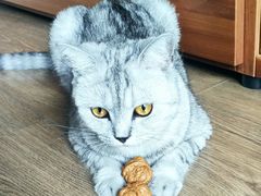 -北京恒爱动物医院(清景园分院)