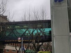 -复旦大学附属中山医院(西院区)