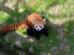 -西安秦岭野生动物园