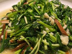 -自游人·美食一楼·地道徽菜(三十年名店)