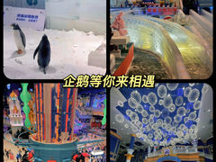 -郑州银基冰雪世界