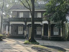 -南山植物园