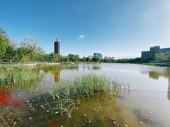 -西海子公园