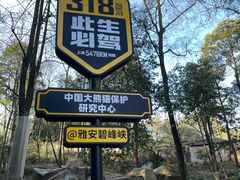 -中国大熊猫保护研究中心雅安碧峰峡基地