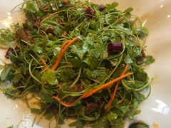 -八大碗·地道东北菜(白塔堡店)