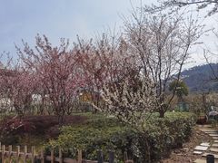 -树山生态村