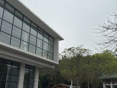 -王借岗森林公园