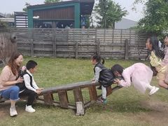 -田园东方蜜桃村的田野营地