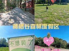 -林栖谷森林康养度假区