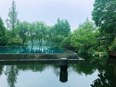 -杭州西子湖四季酒店-WL BISTRO西湖餐厅(灵隐路店)