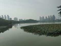 -月湖风景区