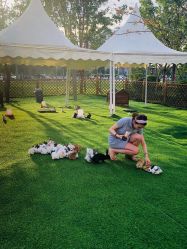 -萌宠亲子动物乐园(槐房万达店)