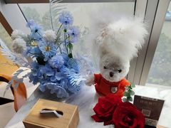 -桃花江餐厅·江景-约会·聚会