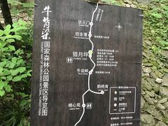 -牛背梁国家森林公园