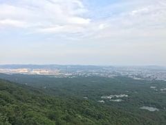 -紫金山山顶公园