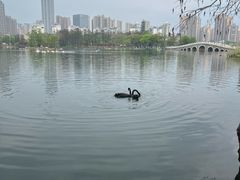 -武汉动物园