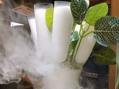 -探窝·竹笙椰子鸡(杨箕店)