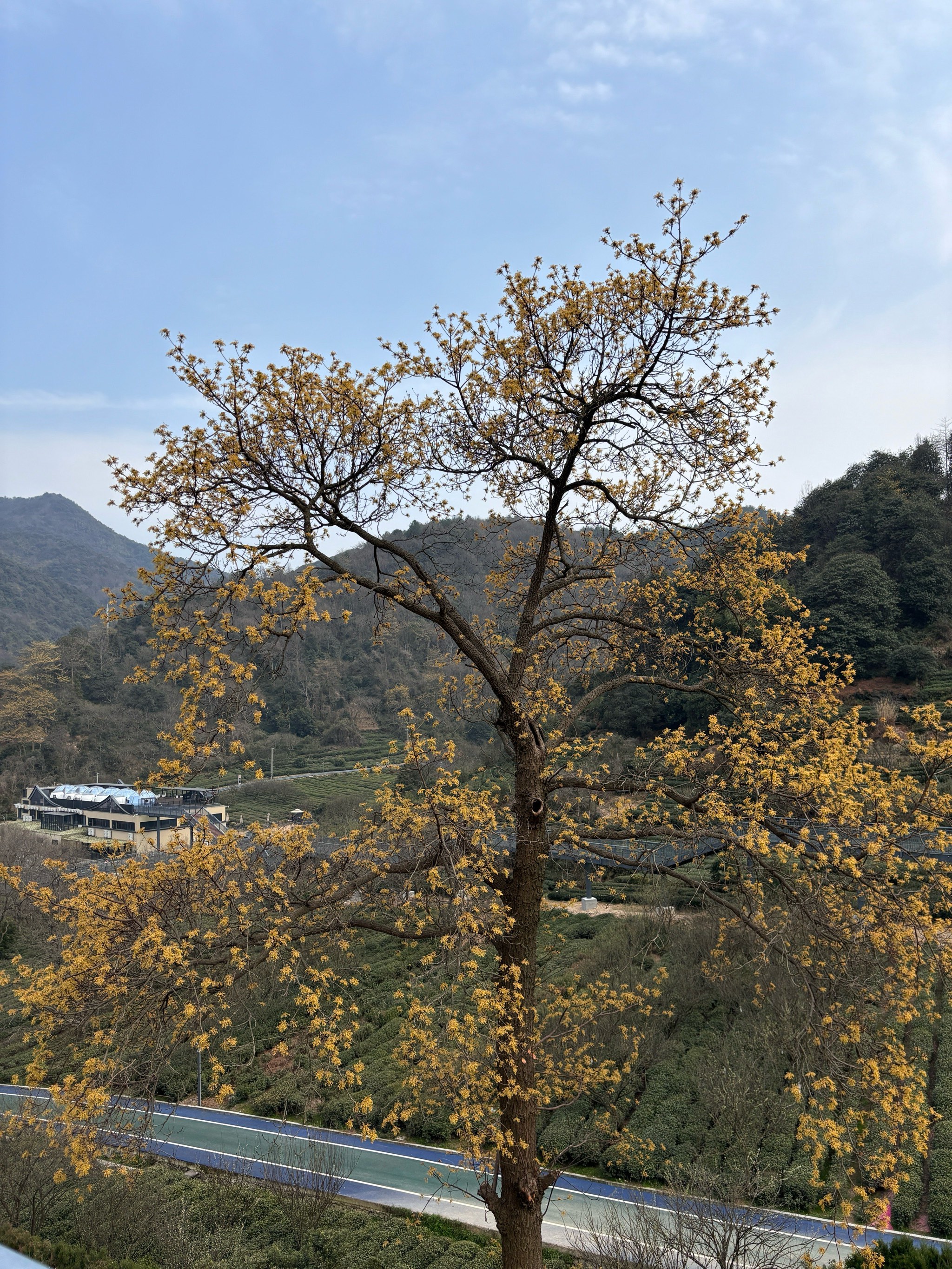 兰陵县山里王风景区图片