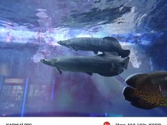-常州海昌海洋探索馆