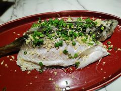 -钟菜·粤菜点心·宴请(海上世界·汇港二期店)