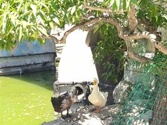 -团结湖公园