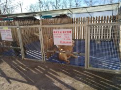 -萌宠亲子动物乐园(槐房万达店)