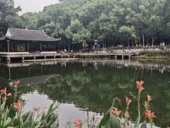 -忠山公园