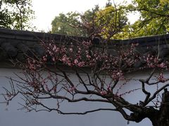 -无锡梅园公园