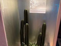 -新美姿美食水疗汇(罗湖口岸店)