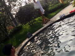 -郑州银基黄帝宫御温泉