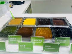 -Salud撒露欧洲冻酸奶(北苑上品店)