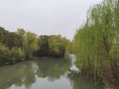 -同里国家湿地公园