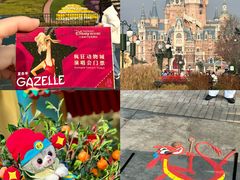 -上海迪士尼度假区