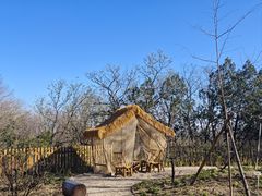-北京鹫峰国家森林公园