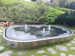 -彩色熊猫剧场