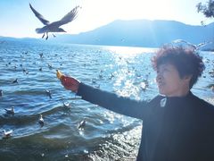 -滇池海埂公园