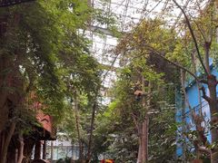 -呀路古热带植物园