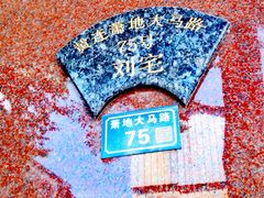 -黄连大头华烧鹅(萧地大马路店)