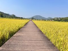 -艾米稻香小镇