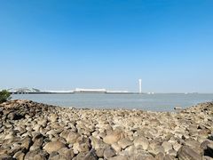 -上海吴淞炮台湾国家湿地公园