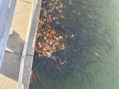 -济南方特东方神画
