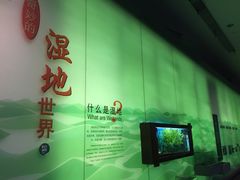 -中国湿地博物馆