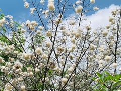 -厦门日月谷温泉渡假村