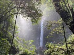 -莫里热带雨林景区